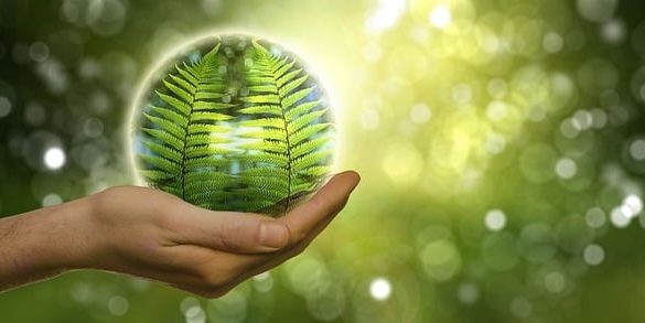 Free natural reserve environment environmental protection illustration
