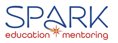 SPARK education and mentoring - professional education and mentoring in CE courses for nurses and technicians