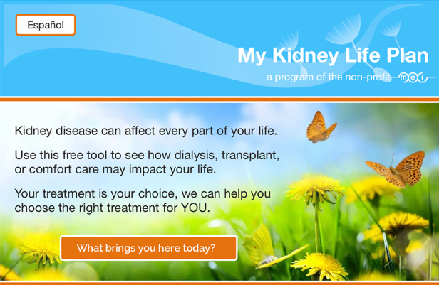 my kidney life plan tool
