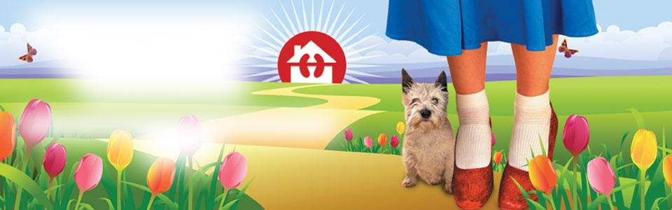 Home Dialysis Banner